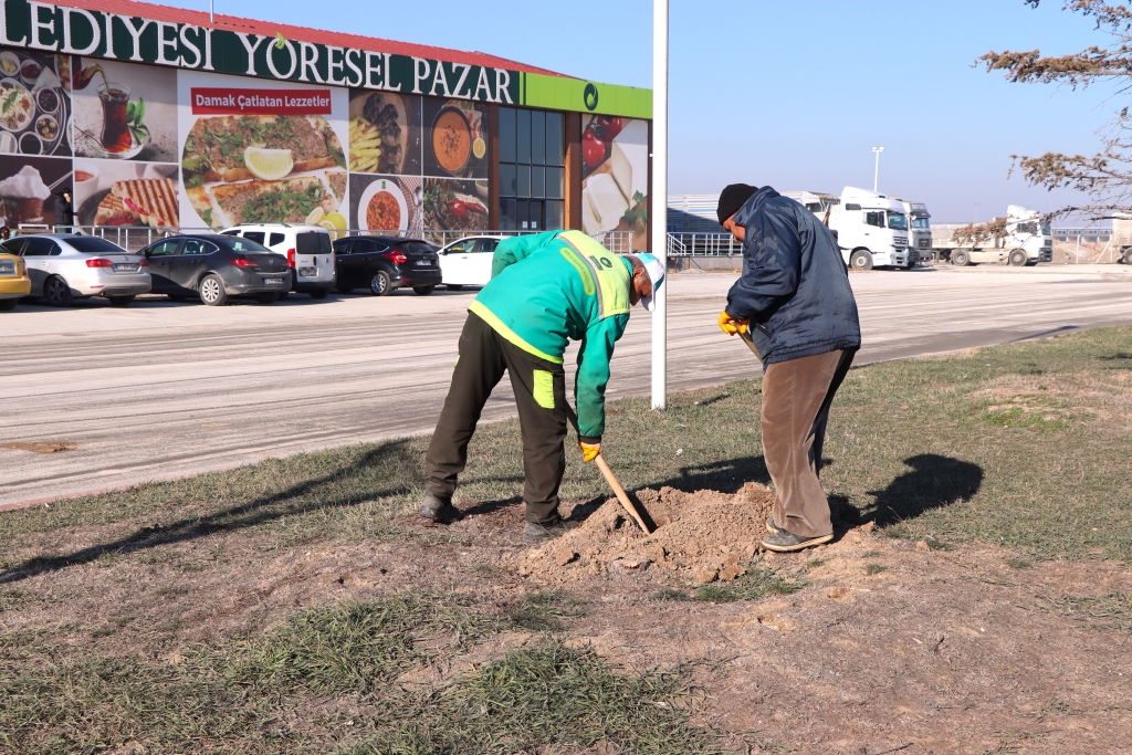 Ereğli Belediyesi Fidan Dikim Çalışmaları Gerçekleştiriyor