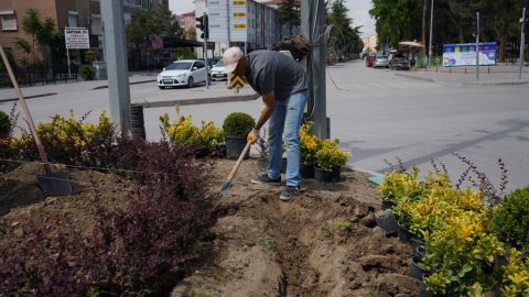 Ereğli Belediyesi’nden Şehir Estetiğine Katkı: “Orta Refüjler Renkleniyor"
