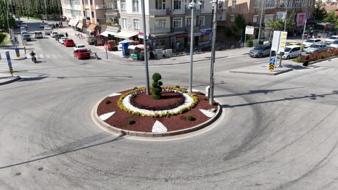 Ereğli Belediyesi’nden Şehir Estetiğine Katkı: “Orta Refüjler Renkleniyor"