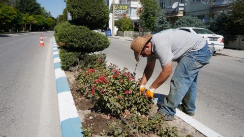 Ereğli Belediyesi Park ve Bahçeler Müdürlüğü Ekipleri Saha Çalışmalarına Aralıksız Devam Ediyor
