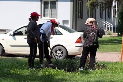 Ereğli Belediyesi Park ve Bahçeler Müdürlüğü Ekipleri Saha Çalışmalarına Aralıksız Devam Ediyor