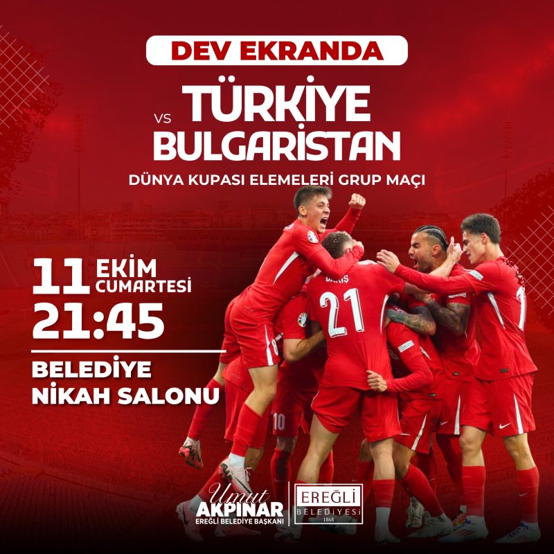 Türkiye - Bulgaristan Dünya Kupası Elemeleri Grup Maçı