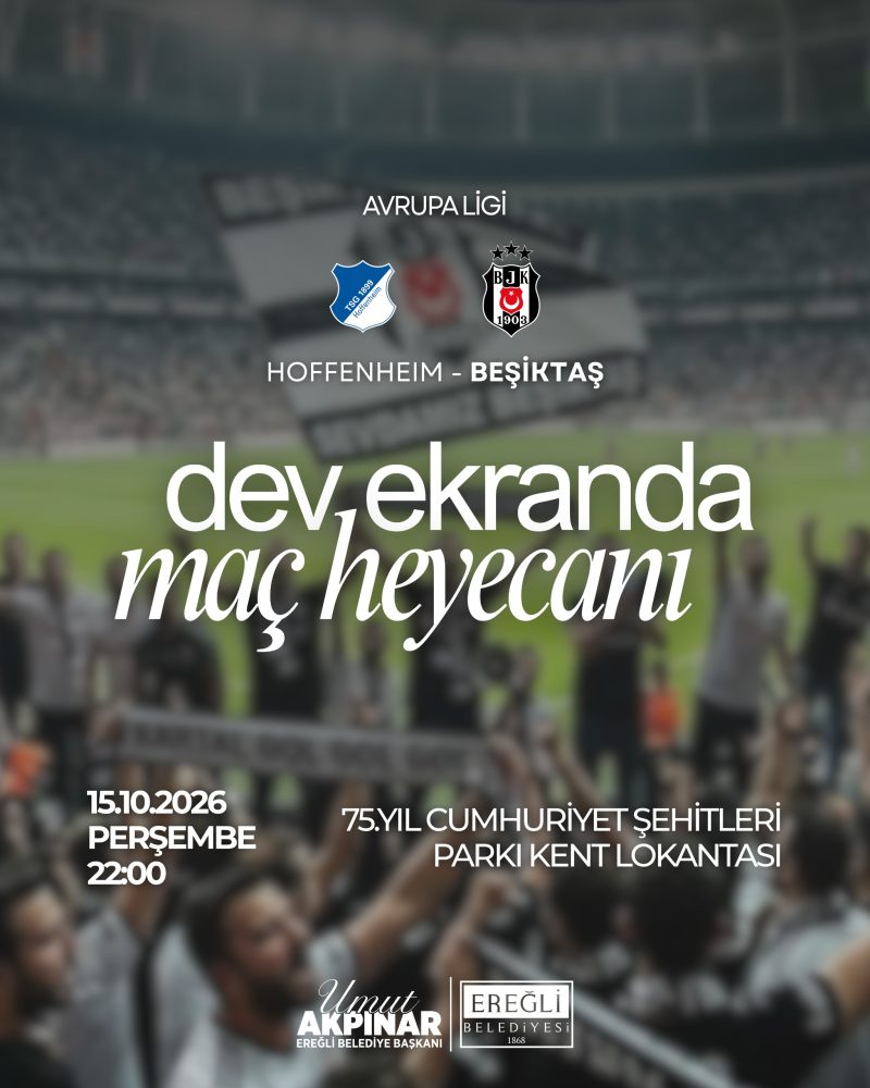 Beşiktaş Hoffenheim Maçı