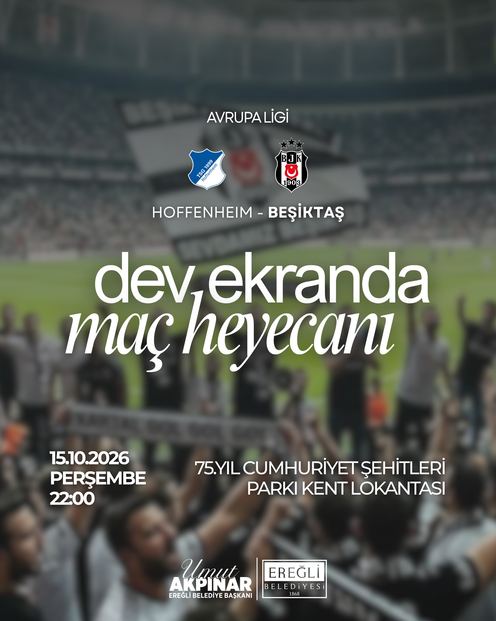 Beşiktaş Hoffenheim Maçı
